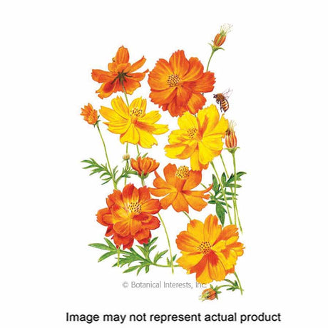 Botanical Interests Flower Seed