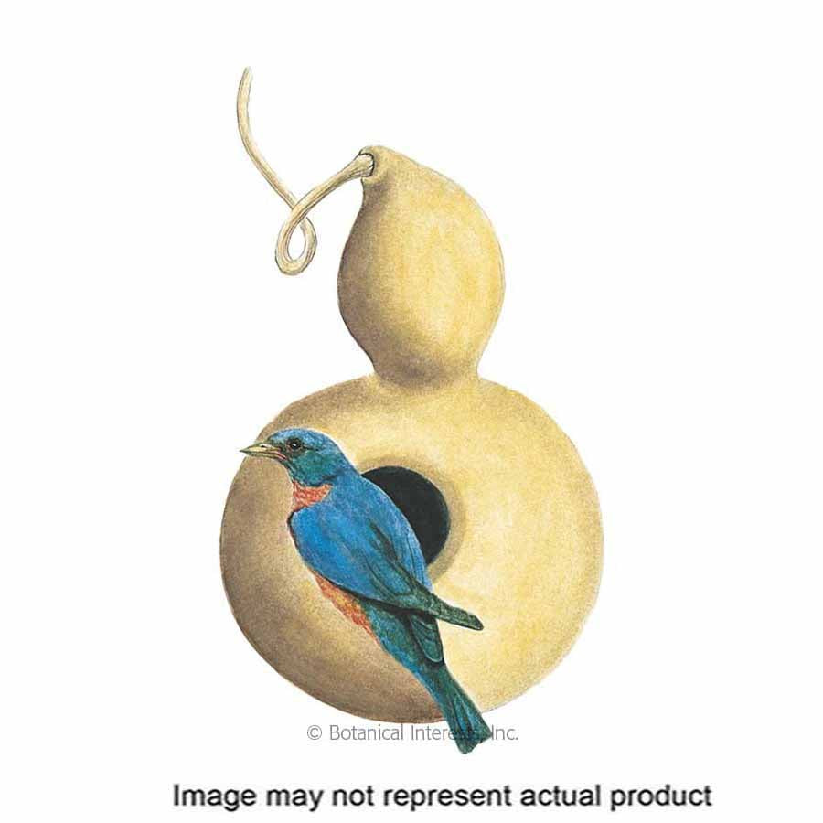 Botanical Interests Vegetable Seed