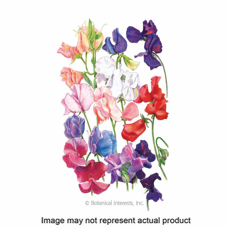 Botanical Interests Flower Seed