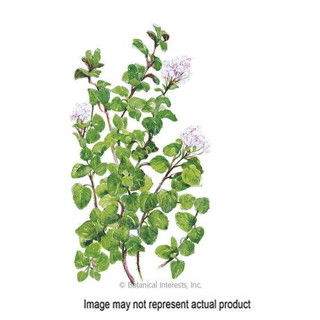 Botanical Interests Herb Seed