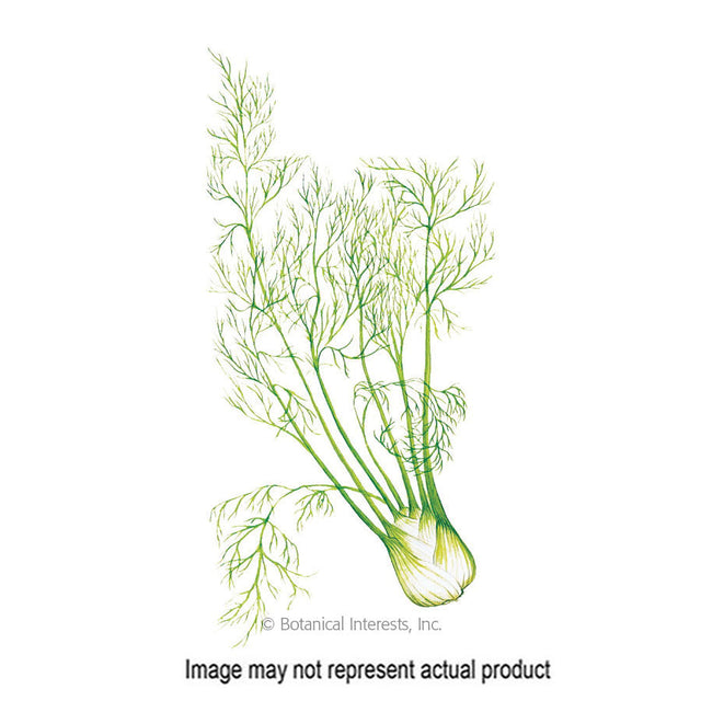 Botanical Interests Herb Seed