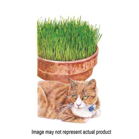 Botanical Interests Cat Grass Seed