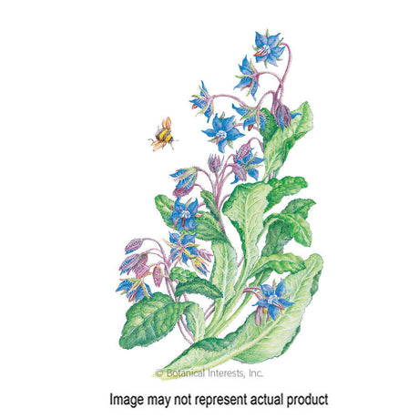Botanical Interests Herb Seed