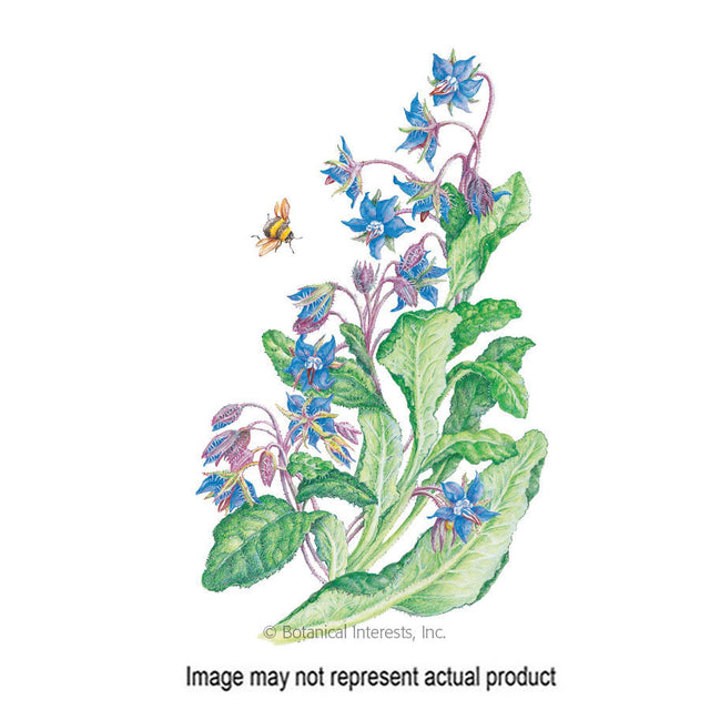 Botanical Interests Herb Seed