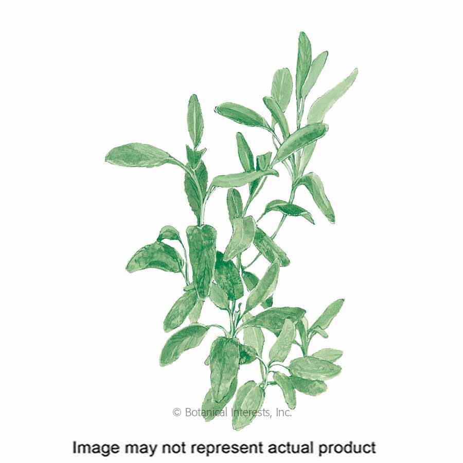 Botanical Interests Herb Seed