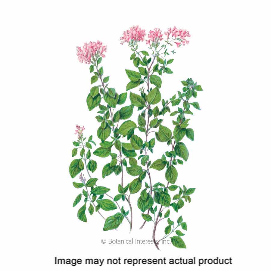 Botanical Interests Herb Seed