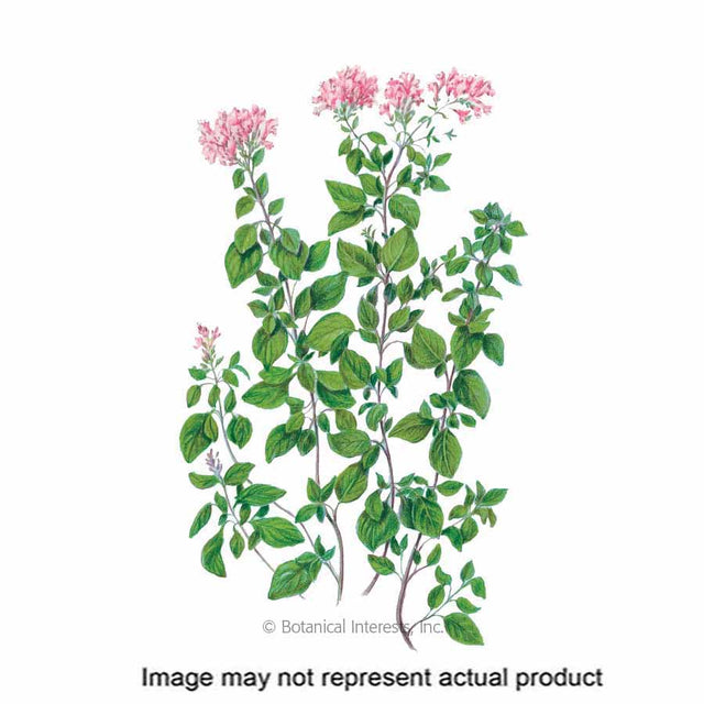 Botanical Interests Herb Seed