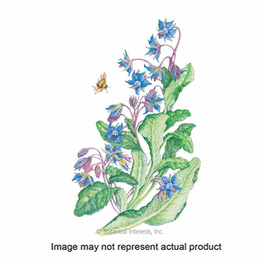 Botanical Interests Herb Seed