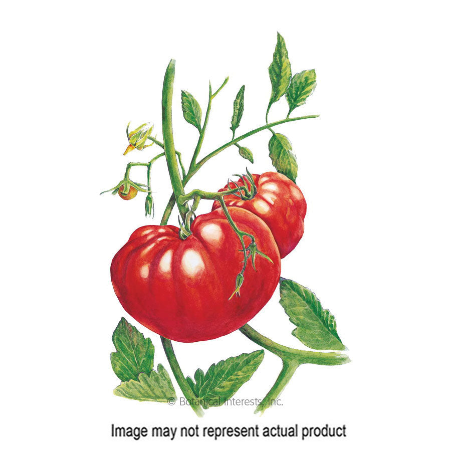 Botanical Interests Vegetable Seed