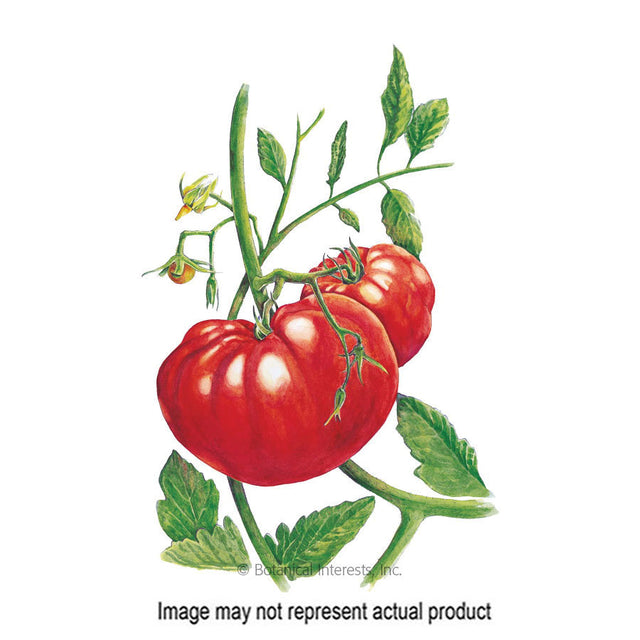 Botanical Interests Vegetable Seed