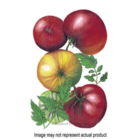 Botanical Interests Vegetable Seed