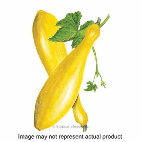 Botanical Interests Vegetable Seed