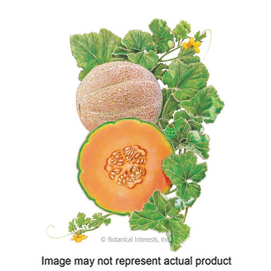 Botanical Interests Vegetable Seed