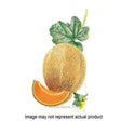 Botanical Interests Vegetable Seed