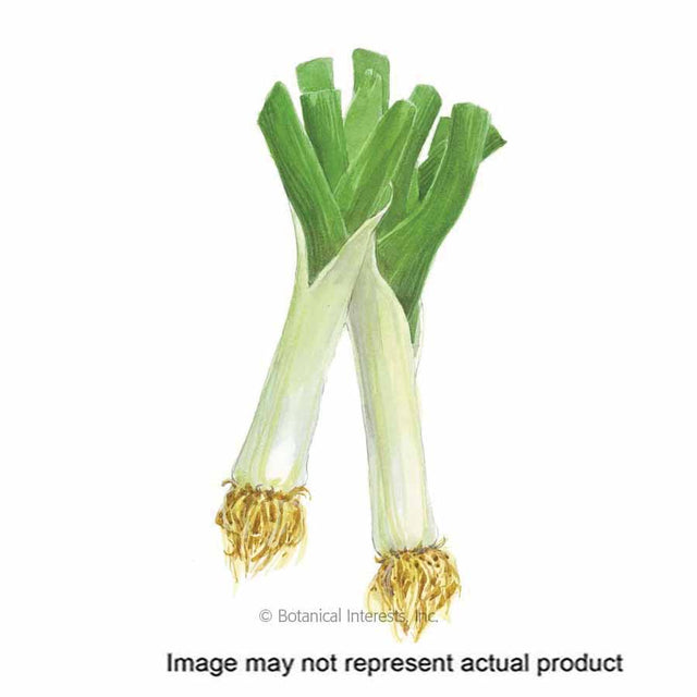 Botanical Interests Herb Seed