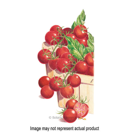 Botanical Interests Vegetable Seed