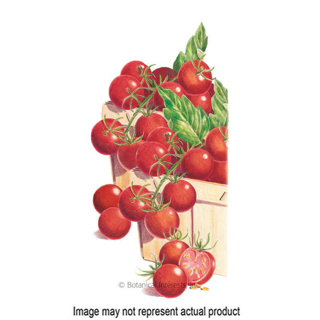 Botanical Interests Vegetable Seed