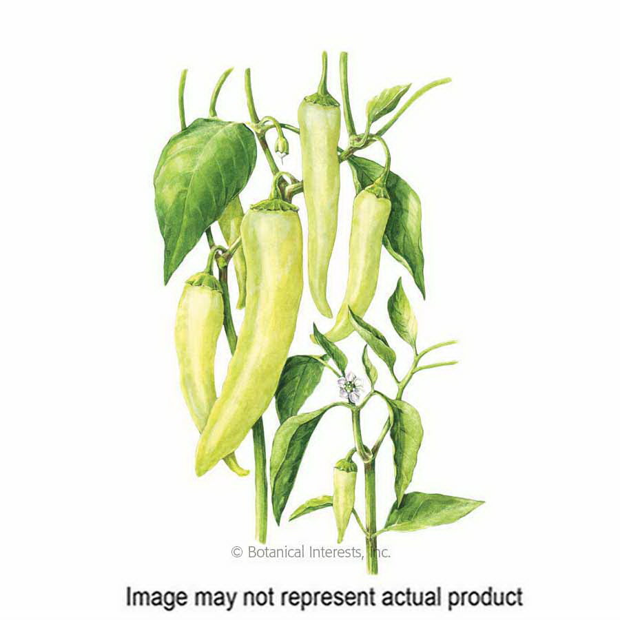 Botanical Interests Vegetable Seed