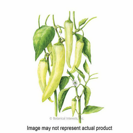 Botanical Interests Vegetable Seed