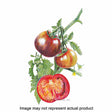 Botanical Interests Vegetable Seed