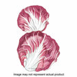 Botanical Interests Vegetable Seed