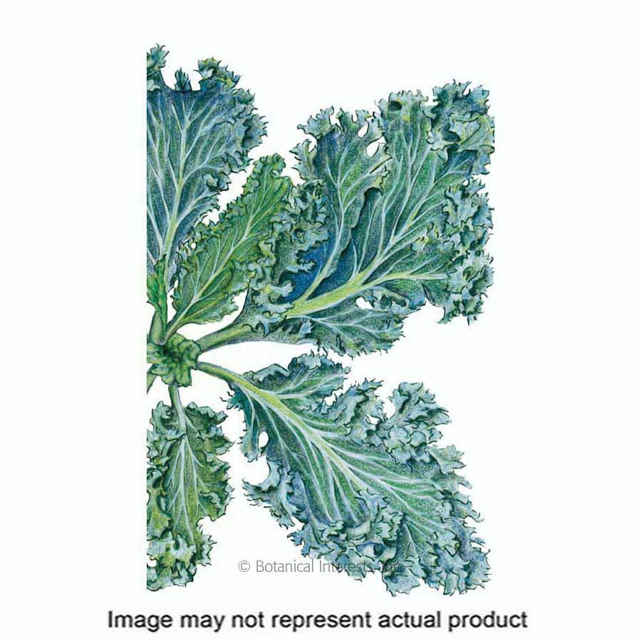 Botanical Interests Herb Seed