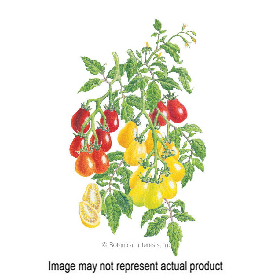 Botanical Interests Vegetable Seed