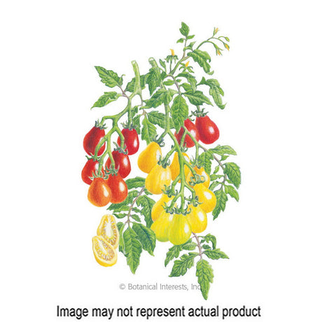 Botanical Interests Vegetable Seed