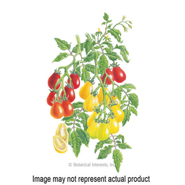 Botanical Interests Vegetable Seed