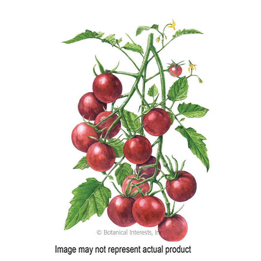 Botanical Interests Vegetable Seed