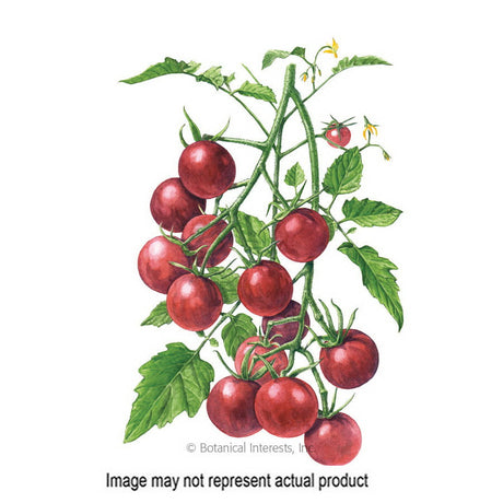 Botanical Interests Vegetable Seed