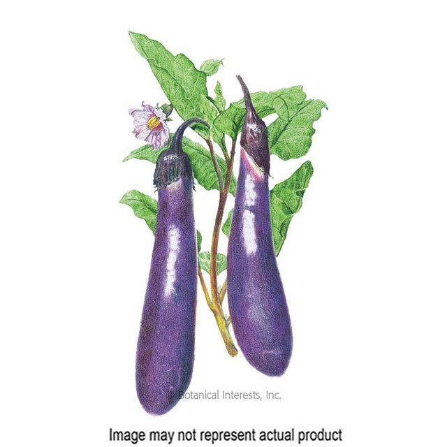 Botanical Interests Vegetable Seed