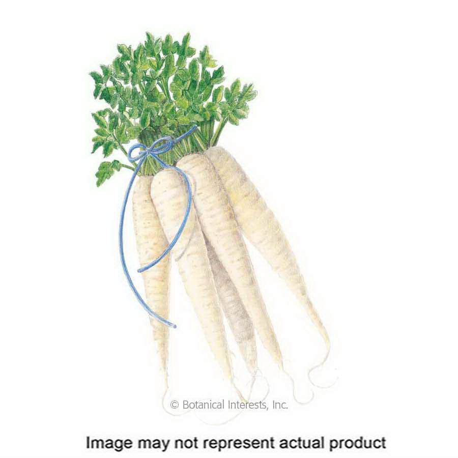 Botanical Interests Vegetable Seed