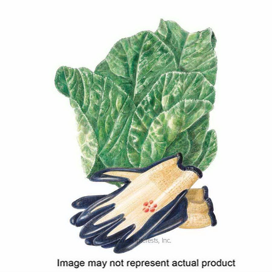 Botanical Interests Herb Seed