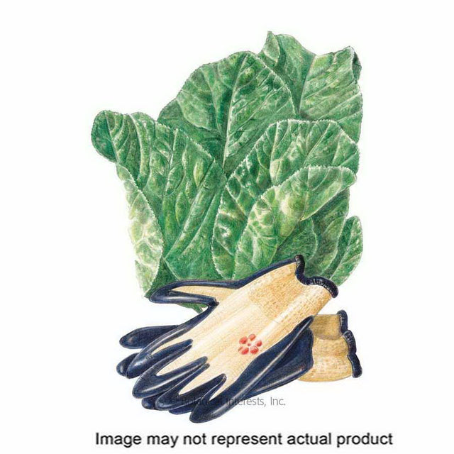 Botanical Interests Herb Seed