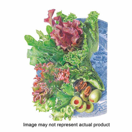 Botanical Interests Vegetable Seed