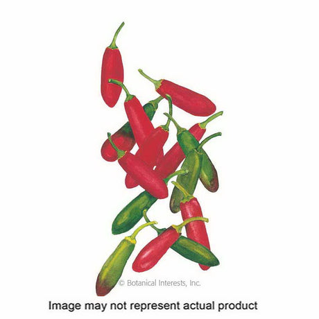 Botanical Interests Vegetable Seed