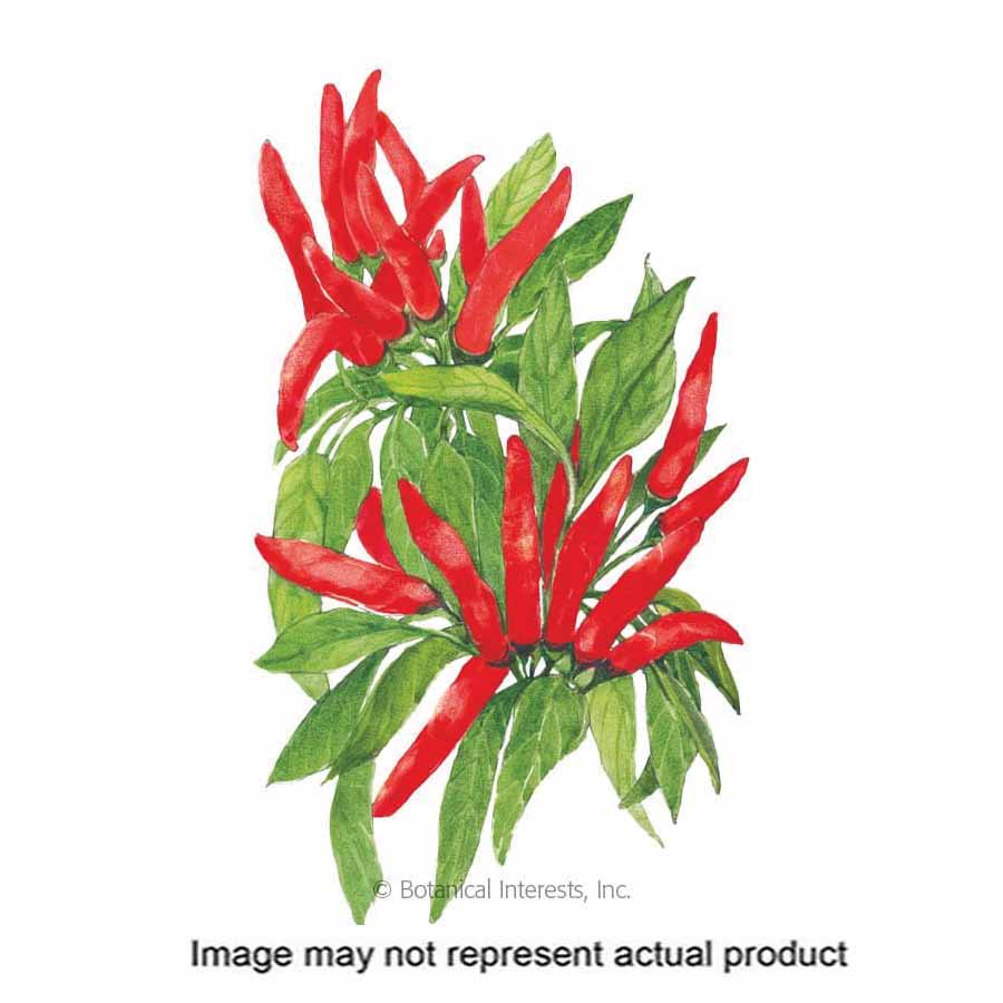 Botanical Interests Vegetable Seed
