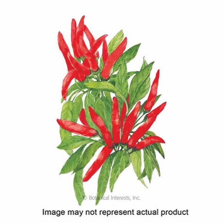 Botanical Interests Vegetable Seed