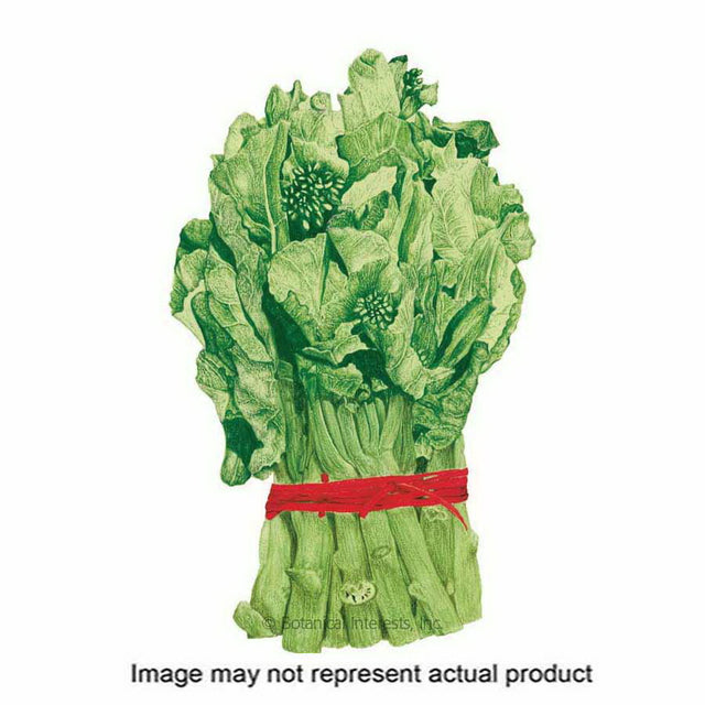 Botanical Interests Vegetable Seed