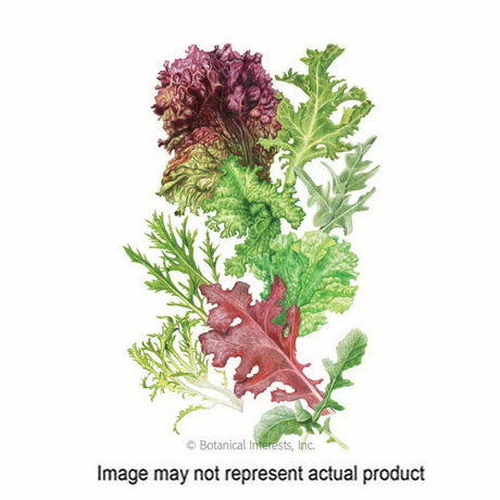 Botanical Interests Vegetable Seed