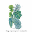 Botanical Interests Vegetable Seed