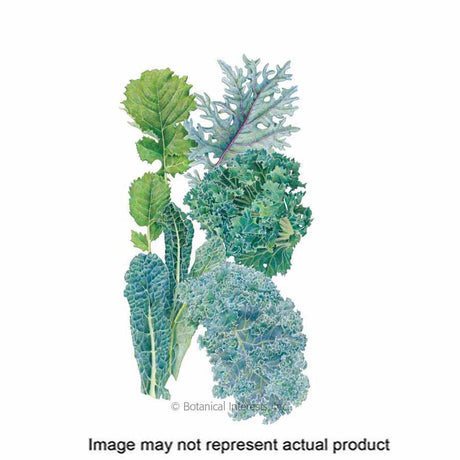 Botanical Interests Vegetable Seed