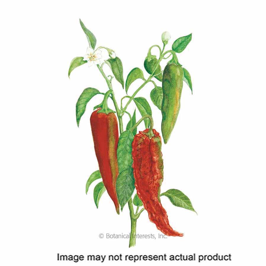 Botanical Interests Vegetable Seed
