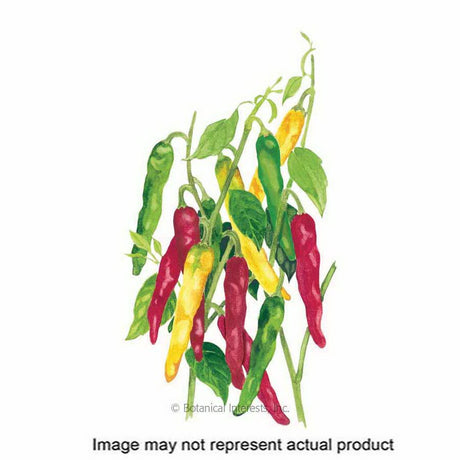 Botanical Interests Vegetable Seed