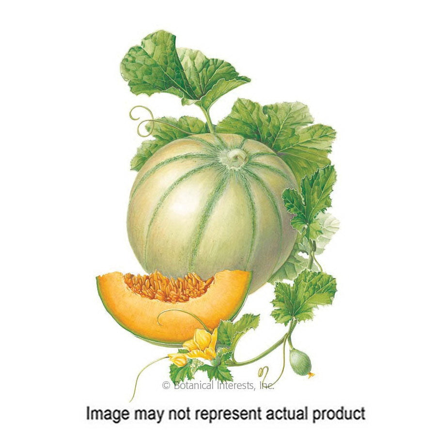 Botanical Interests Vegetable Seed