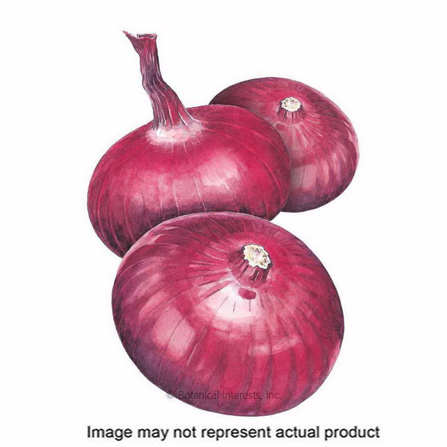 Botanical Interests Vegetable Seed