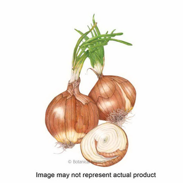 Botanical Interests Vegetable Seed