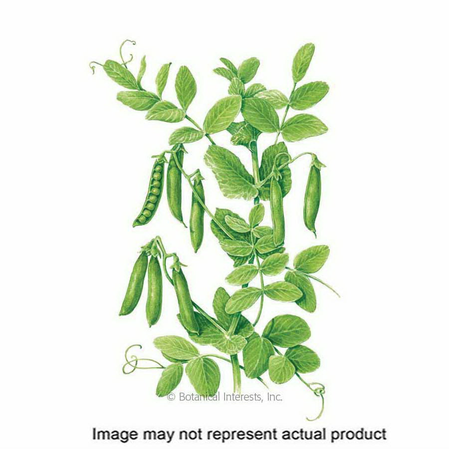 Botanical Interests Vegetable Seed