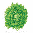 Botanical Interests Vegetable Seed